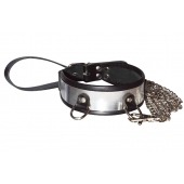 Стильный ошейник с металлическим блеском и поводком - Sitabella - купить с доставкой в Бердске