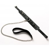 Черный ошейник с шипами и поводком - Crazy Handmade - купить с доставкой в Бердске