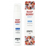 Возбуждающий гель Raspberry Mint с ароматом малины и мяты - 15 мл. - Exsens - купить с доставкой в Бердске