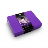 Подарочный набор Naughter Kit - Shunga - купить с доставкой в Бердске