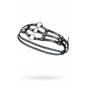 Черный кожаный пояс с кольцами - Pecado - купить с доставкой в Бердске