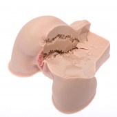 Мастурбатор-полуторс Naked Factory Kate - Naked Factory - в Бердске купить с доставкой