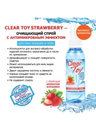 Очищающий спрей для игрушек CLEAR TOY Strawberry - 100 мл. - Биоритм - купить с доставкой в Бердске