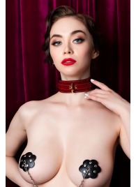 Красный ошейник из лакированного материала - ToyFa - купить с доставкой в Бердске