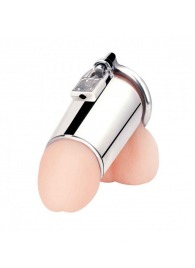 Серебристая сплошная клетка для фаллоса Ultimate Cock Tease Cage - BlueLine - купить с доставкой в Бердске