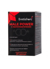 Капсулы для мужчин Erotichard male power с пантогематогеном - 20 капсул (0,370 гр.) - Erotic Hard - купить с доставкой в Бердске