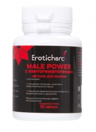 Капсулы для мужчин Erotichard male power с пантогематогеном - 20 капсул (0,370 гр.) - Erotic Hard - купить с доставкой в Бердске