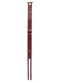 Бордовый ремень Halo Waist Belt - размер L-XL - Shots Media BV - купить с доставкой в Бердске