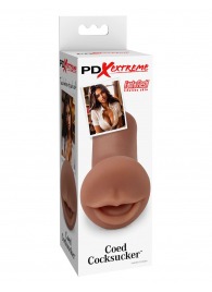 Мастурбатор-ротик Coed Cocksucker - Pipedream - в Бердске купить с доставкой