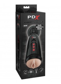 Мастурбатор-вагина с вибрацией Dirty Talk Starter Stroker - Pipedream - в Бердске купить с доставкой