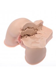 Мастурбатор-полуторс Naked Factory Kate - Naked Factory - в Бердске купить с доставкой