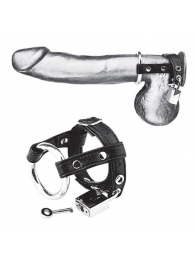 Утяжка на пенис на замочке Duo Cock And Ball Lock - BlueLine - купить с доставкой в Бердске