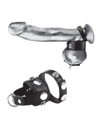 Утяжка для мошонки и пениса Cock Ring With 1  Ball Stretcher And Optional Weight Ring - BlueLine - купить с доставкой в Бердске