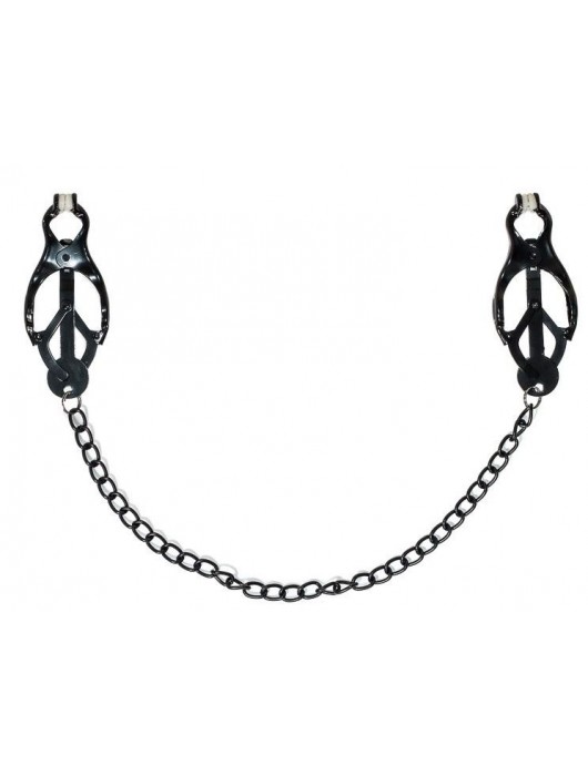 Зажимы на соски Darkside с цепочкой - Lola Games - купить с доставкой в Бердске