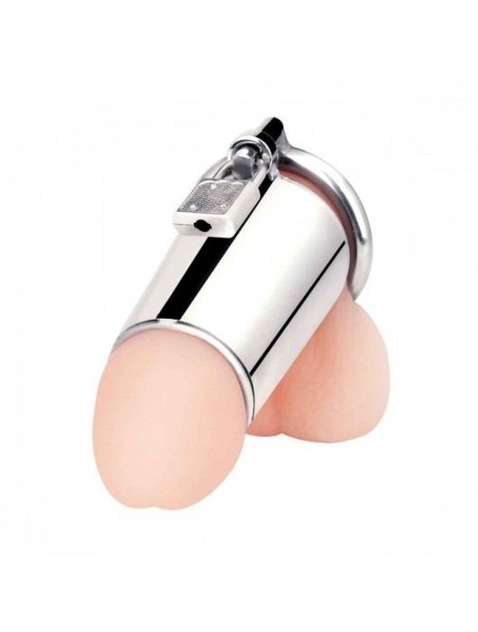 Серебристая сплошная клетка для фаллоса Ultimate Cock Tease Cage - BlueLine - купить с доставкой в Бердске