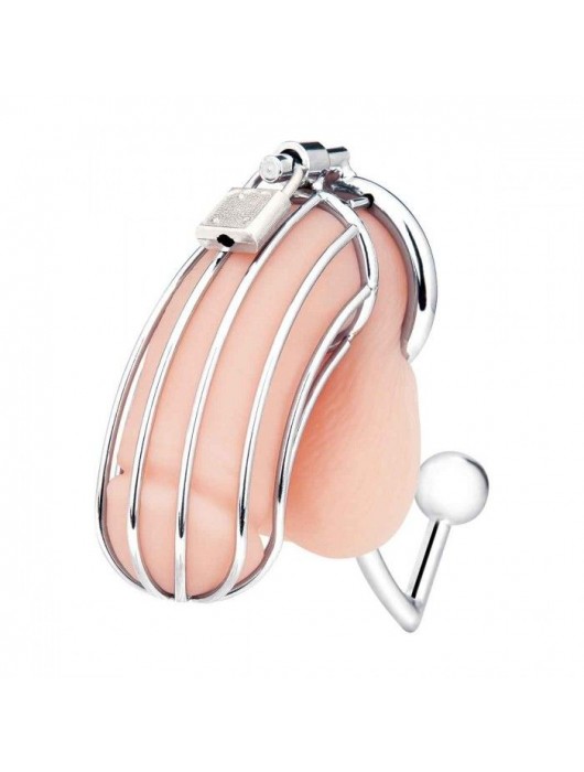 Серебристая металлическая клетка с анальным стимулятором Cock Cage - BlueLine - купить с доставкой в Бердске