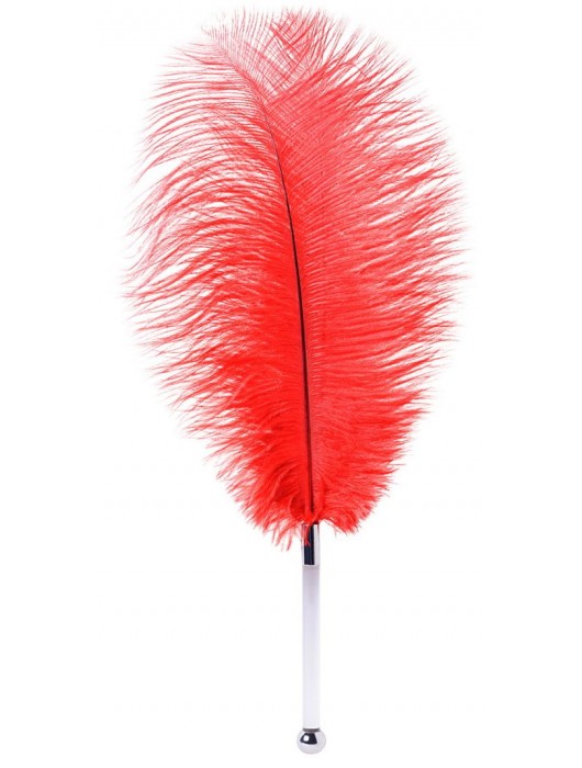 Красное страусовое пёрышко - ToyFa - купить с доставкой в Бердске