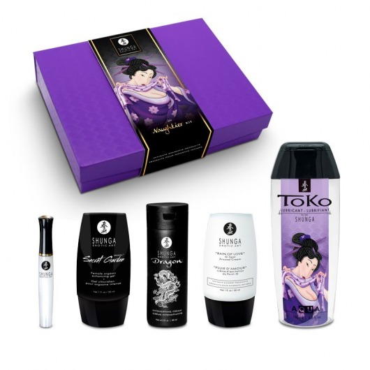 Подарочный набор Naughter Kit - Shunga - купить с доставкой в Бердске