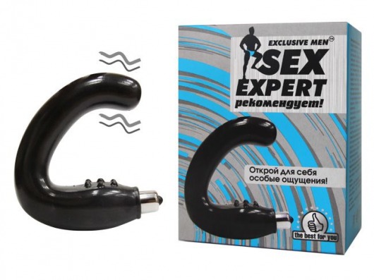 Чёрный массажёр простаты серии Sex Expert - Sex Expert - в Бердске купить с доставкой