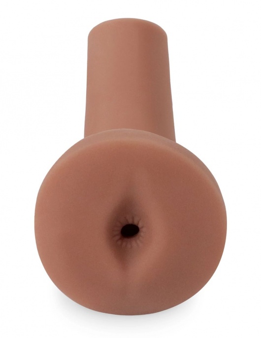 Мастурбатор-анус Freshman F*ckslut - Pipedream - в Бердске купить с доставкой