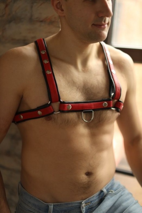 Черно-красная мужская портупея Black-Red - БДСМ Арсенал - купить с доставкой в Бердске