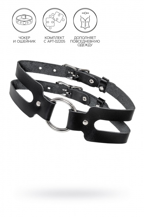 Черный кожаный чокер-ошейник из двух ремешков - Pecado - купить с доставкой в Бердске