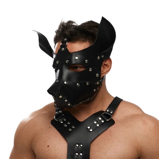 Черная кожаная маска «Собака» - Crazy Handmade - купить с доставкой в Бердске