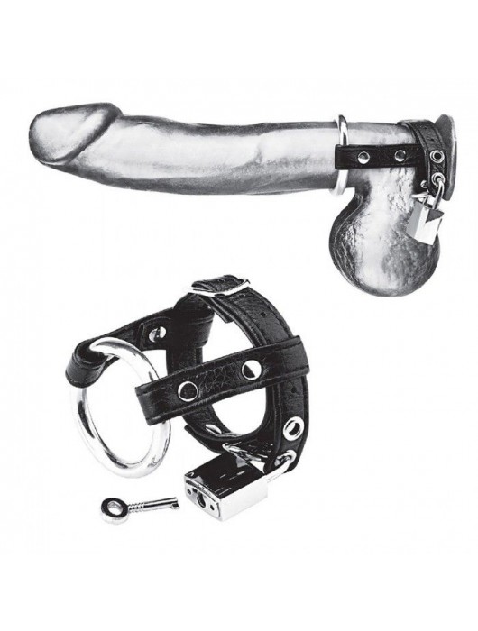 Утяжка на пенис на замочке Duo Cock And Ball Lock - BlueLine - купить с доставкой в Бердске